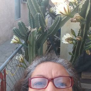 Meet your Posher, Nora